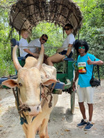 /album/fotogaleria-sri-lanka-maldivy-zajezd-vy-a-my/sri-lanka-zajazd-dovolenka-163-jpg1/